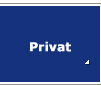 Privatdetektei
